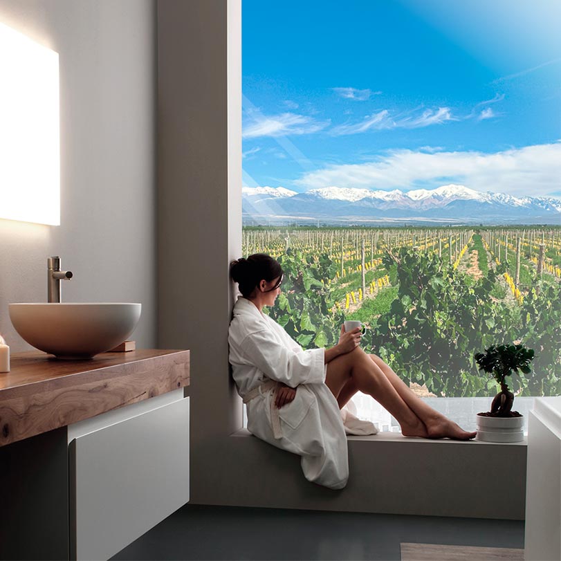 Tupungato Reserve Buena Vida